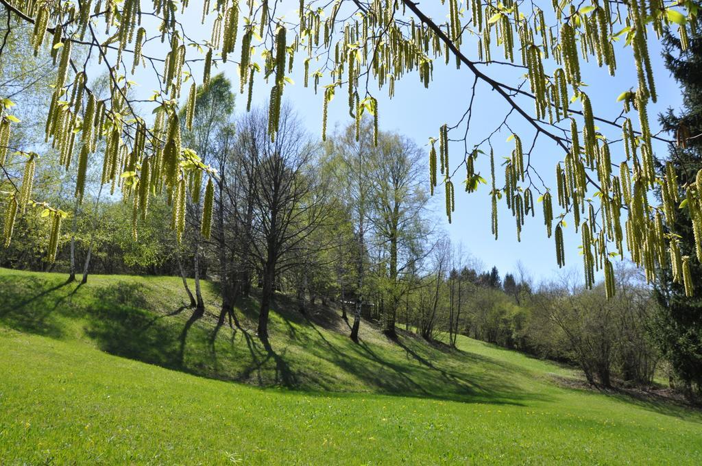 Affittacamere Rubino Guest House Ponte nellʼAlpi Dış mekan fotoğraf