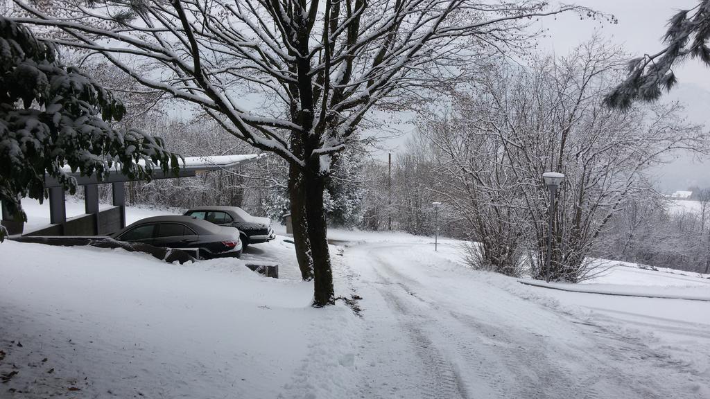 Affittacamere Rubino Guest House Ponte nellʼAlpi Dış mekan fotoğraf